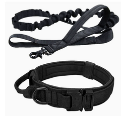 Dog Collar