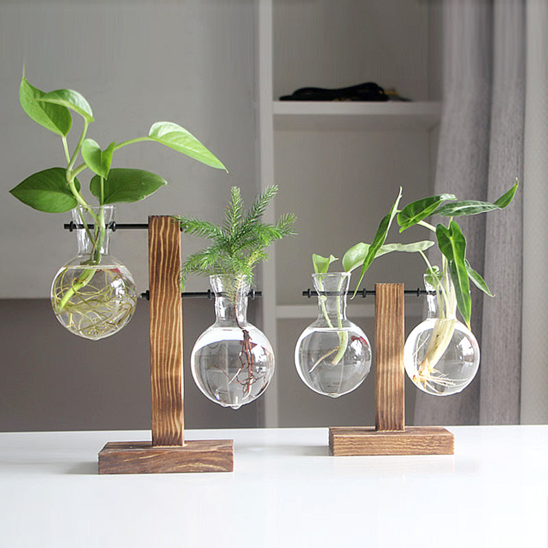 Vintage Glass Hydroponic Terrarium Plant Vase Decor